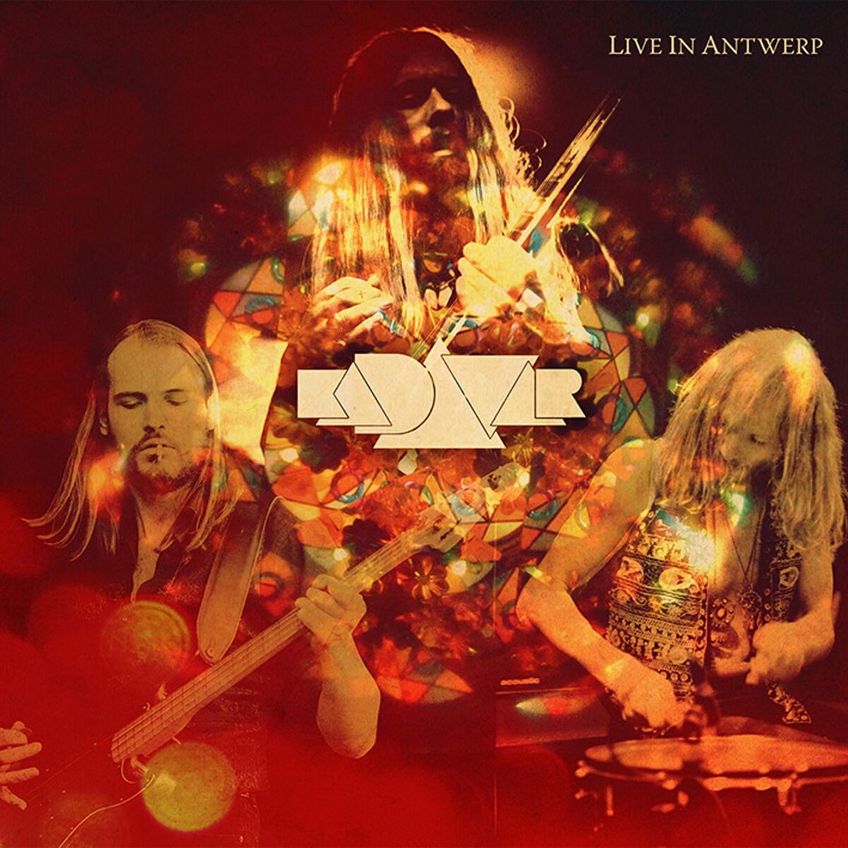 Album cover of Live in Antwerp