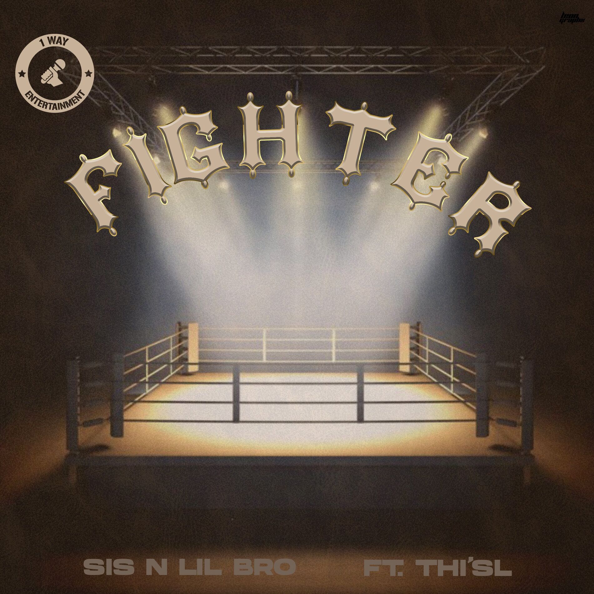 Album cover of Fighter
