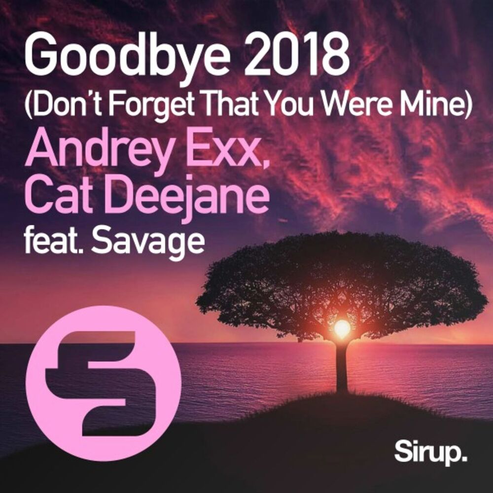 Picture of Goodbye (Don't Forget That You Were Mine) 2018