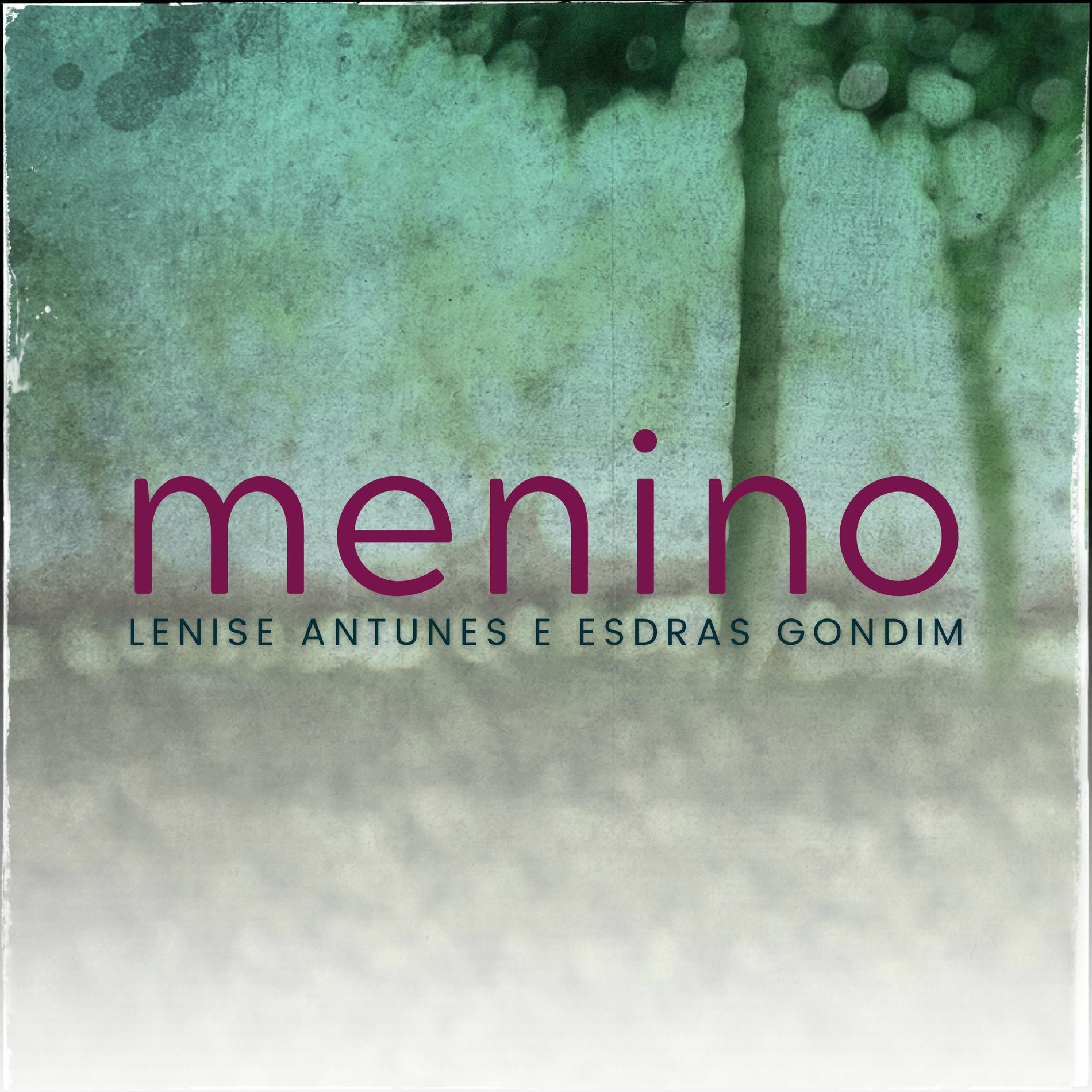 Album cover of Menino