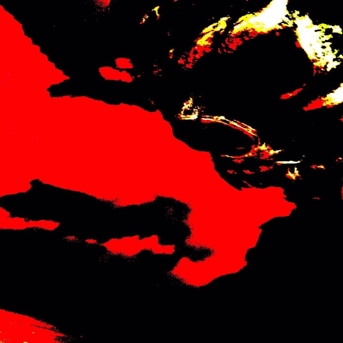 Album cover of BACK FOR BLOOD