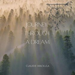 Cover of Journey Through a Dream