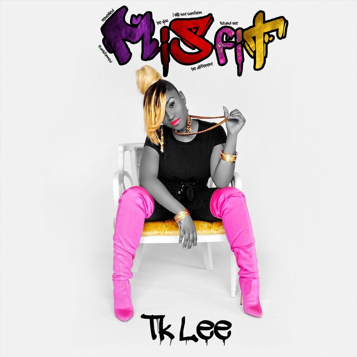 Album cover of Misfit