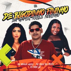 De Bigodinho Fininho, Eu Gamei Nesse Novinho