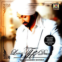 Cover of Living The Dream