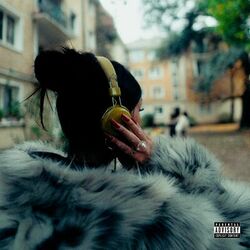 Cover of miau