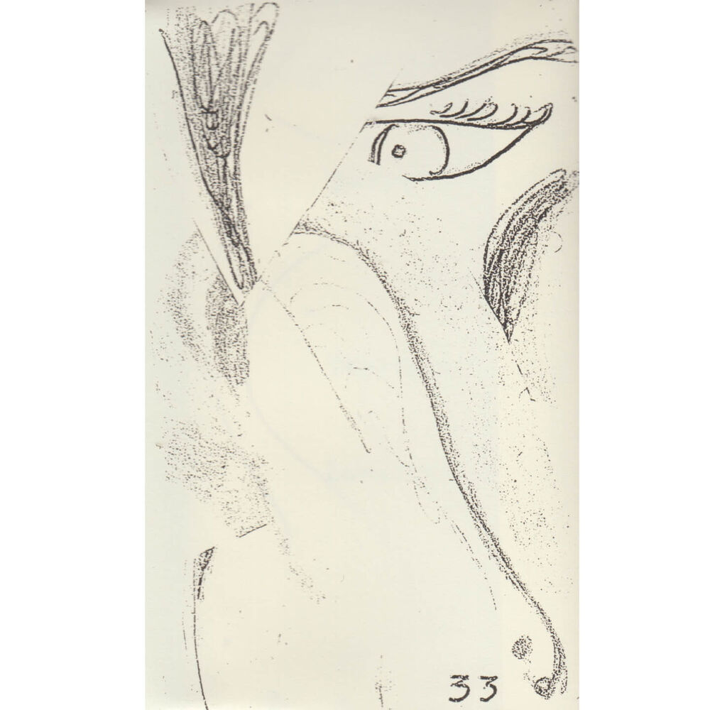 Picture of 33