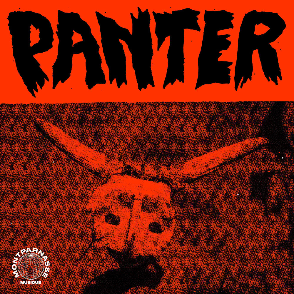 Cover du titre Panter