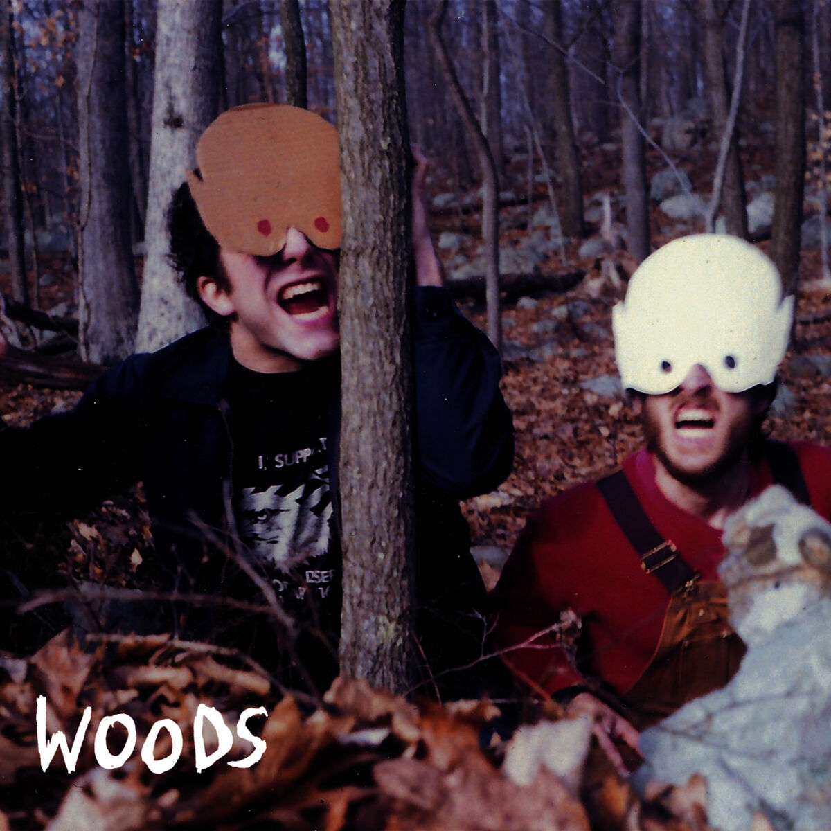 Album cover of How to Survive In + In The Woods
