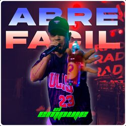 Cover of Abre Fácil