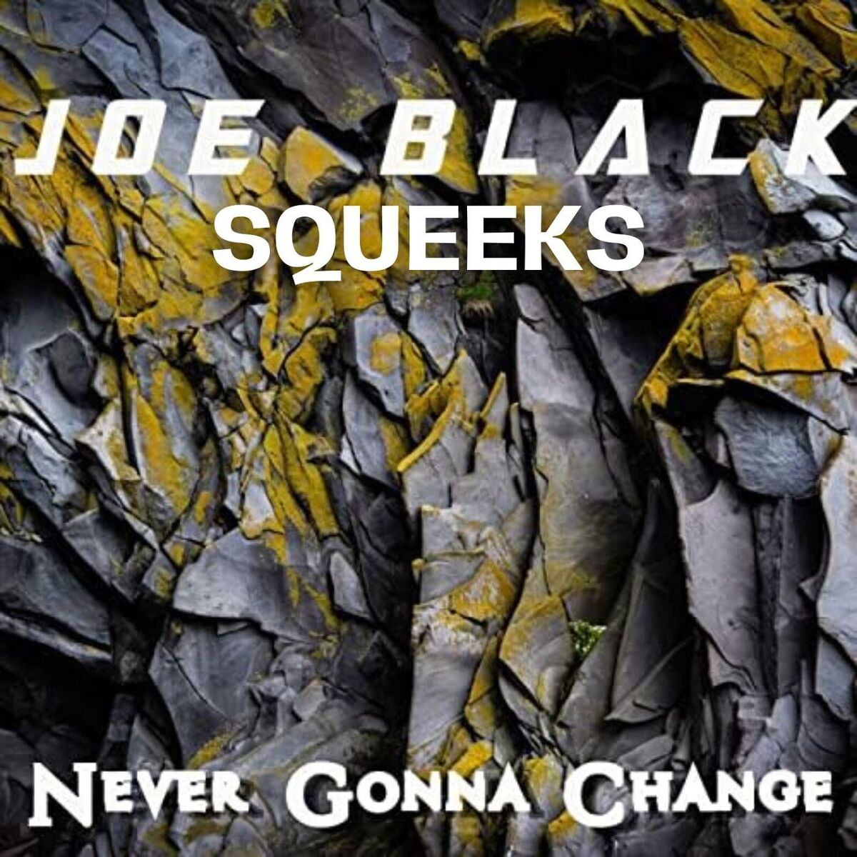 Album cover of Never Gona Change