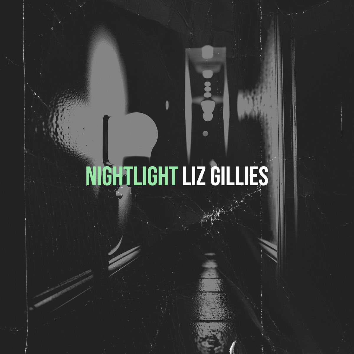 Album cover of Nightlight