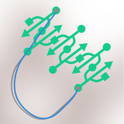 Cover of Transform