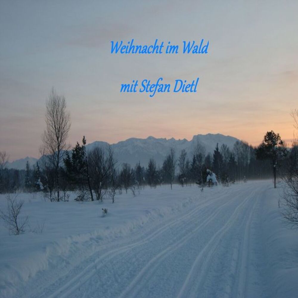 Picture of Weihnacht im Wald