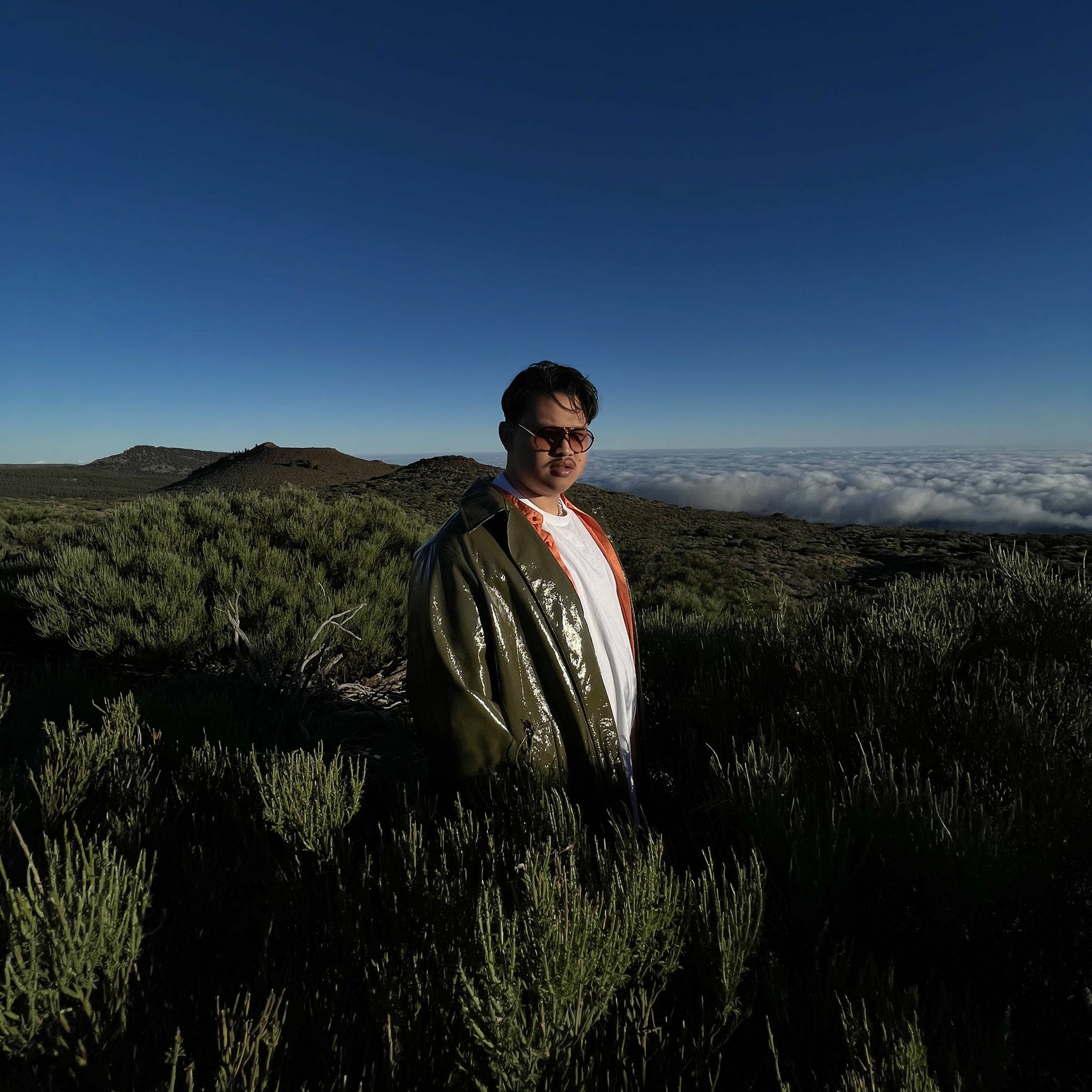 Album cover of Rois du monde