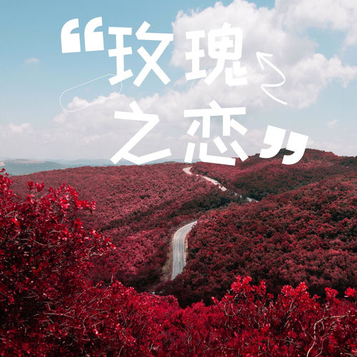 玫瑰之恋