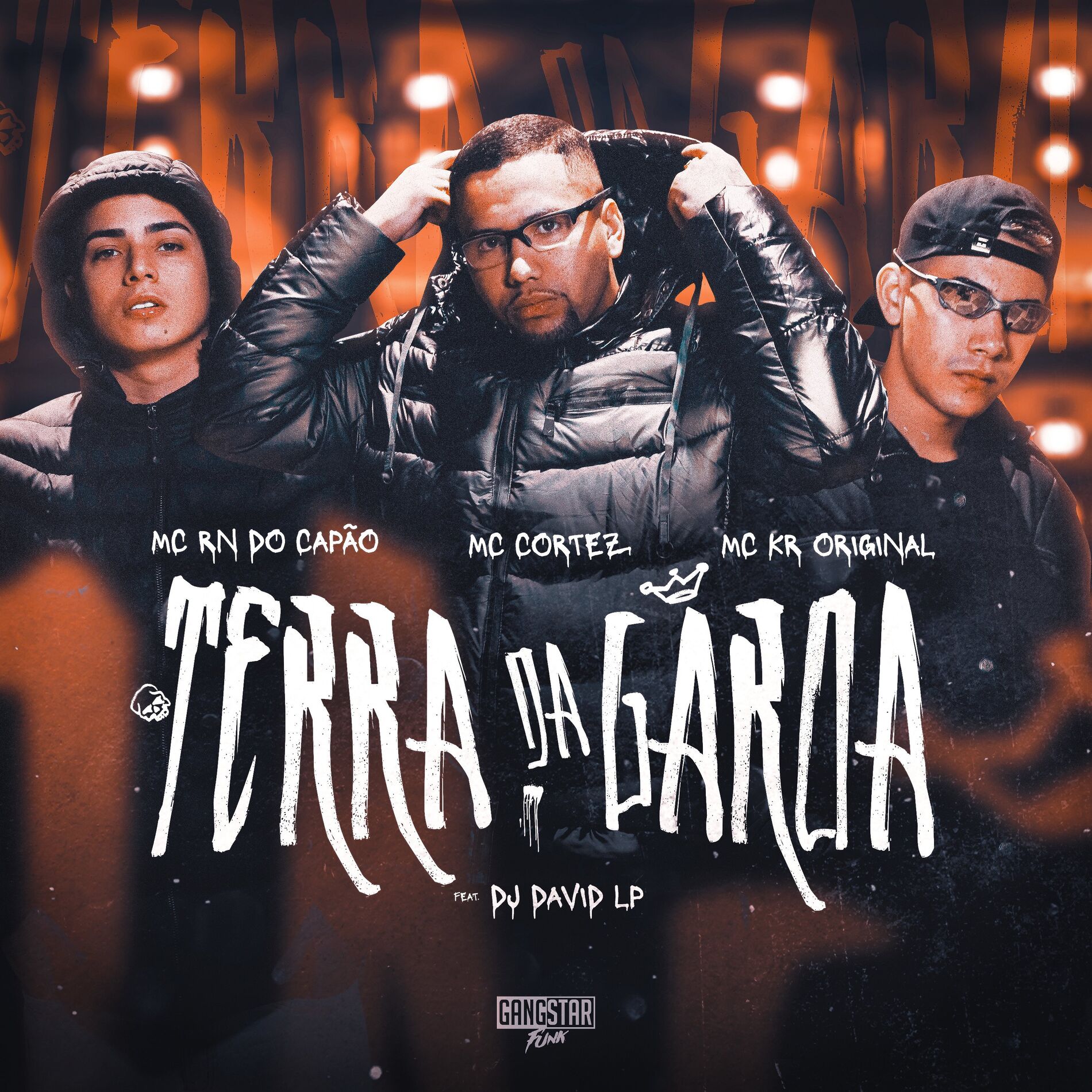 Album cover of Terra da Garoa