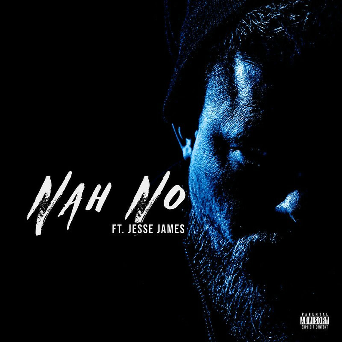 Album cover of Nah No