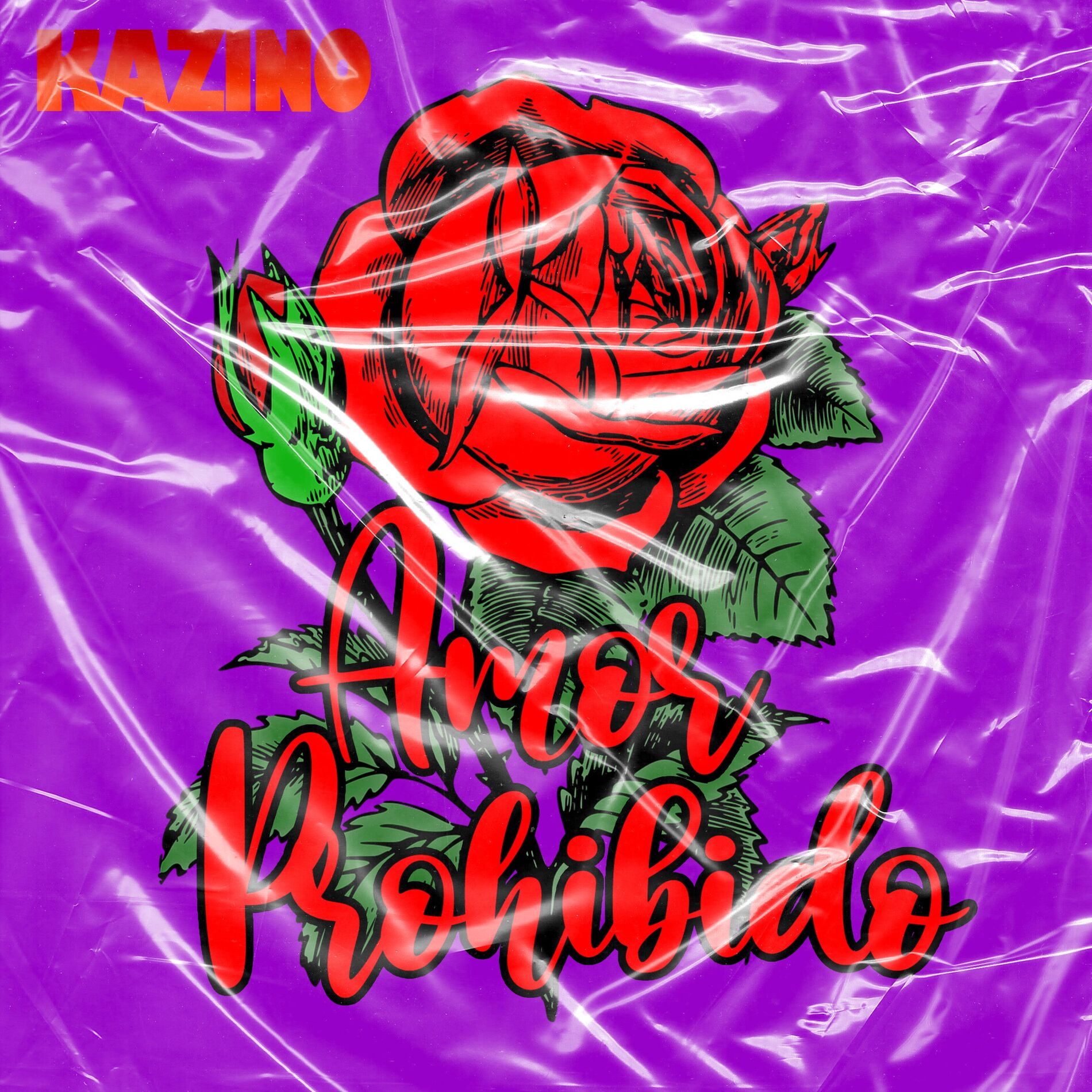 Album cover of Amor Prohibido