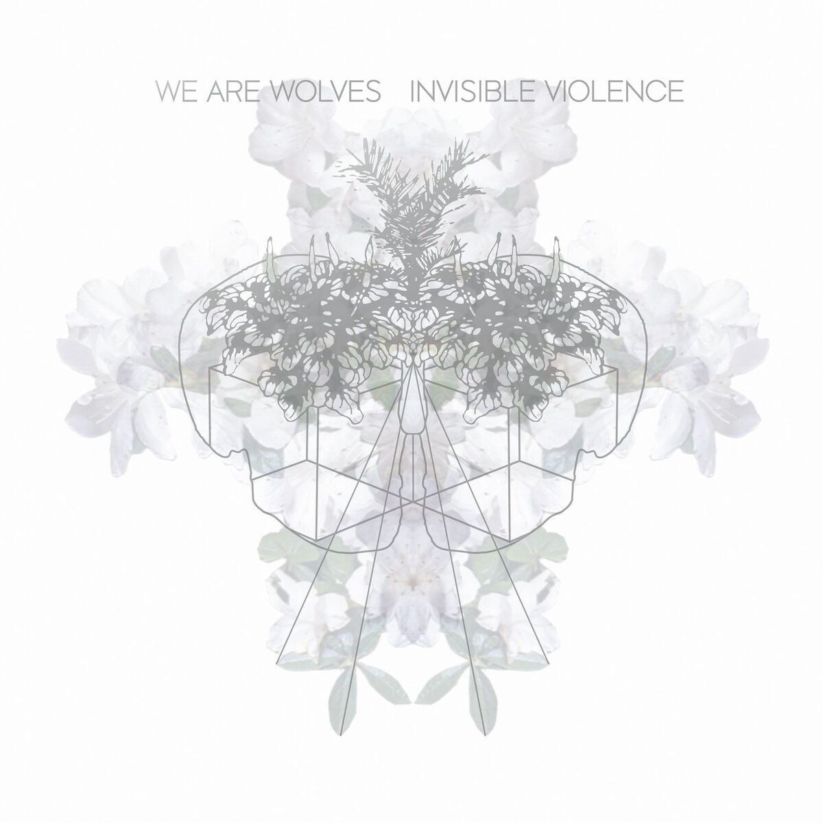 Album cover of Paloma