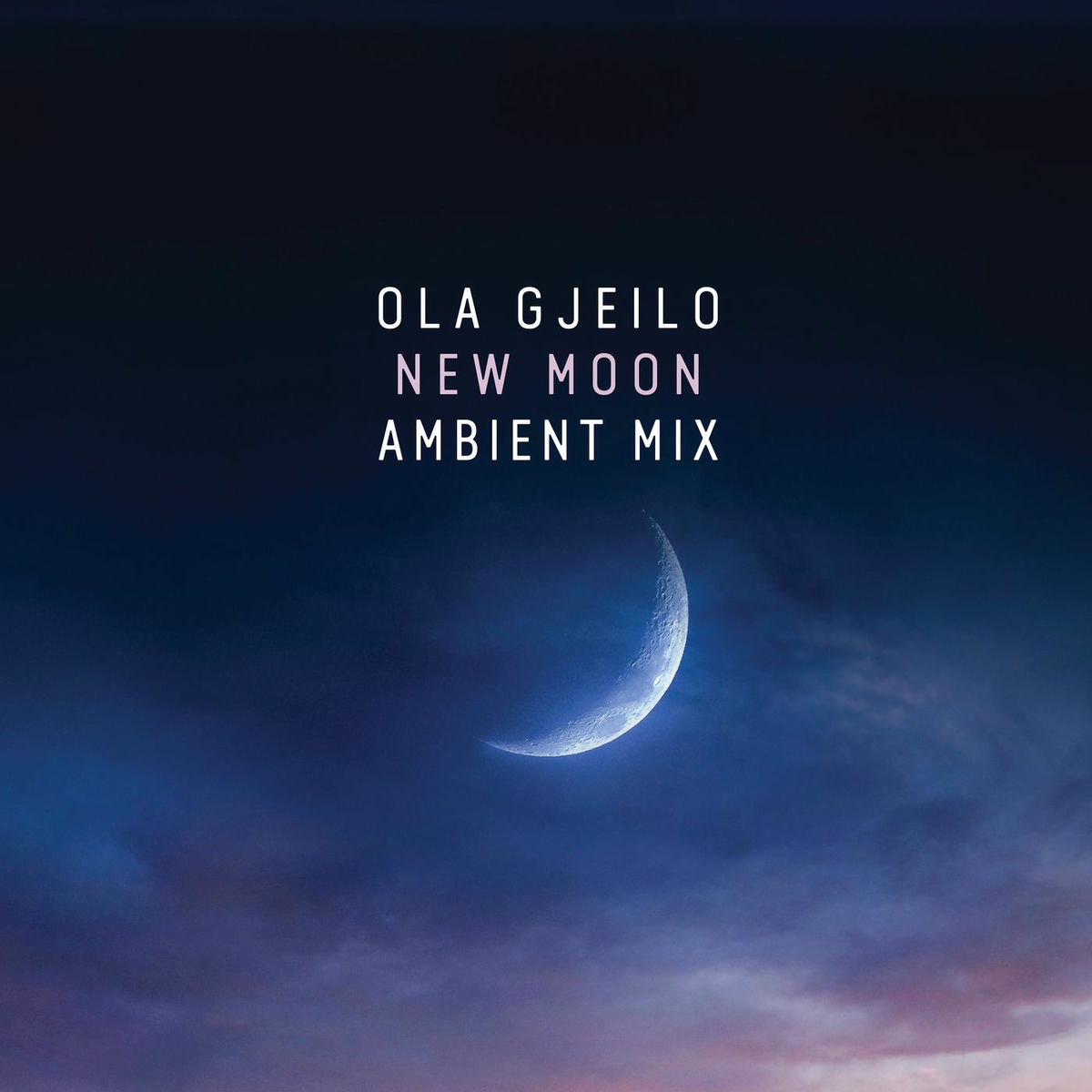 Album cover of New Moon (Ambient Mix)