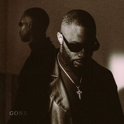 Cover of Gone