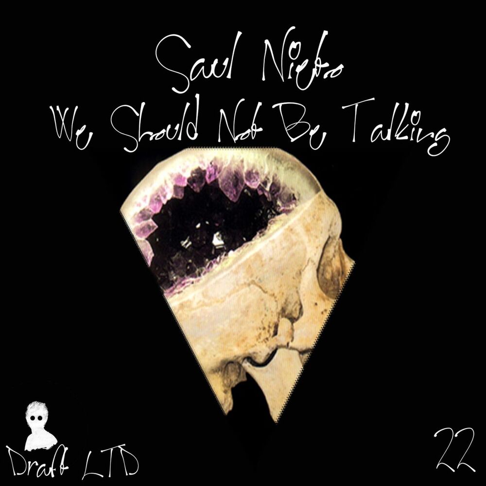 Picture of We Should Not Be Talking