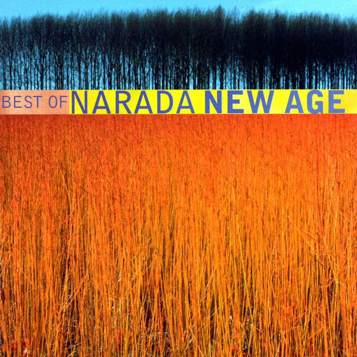Album cover of Best Of Narada New Age