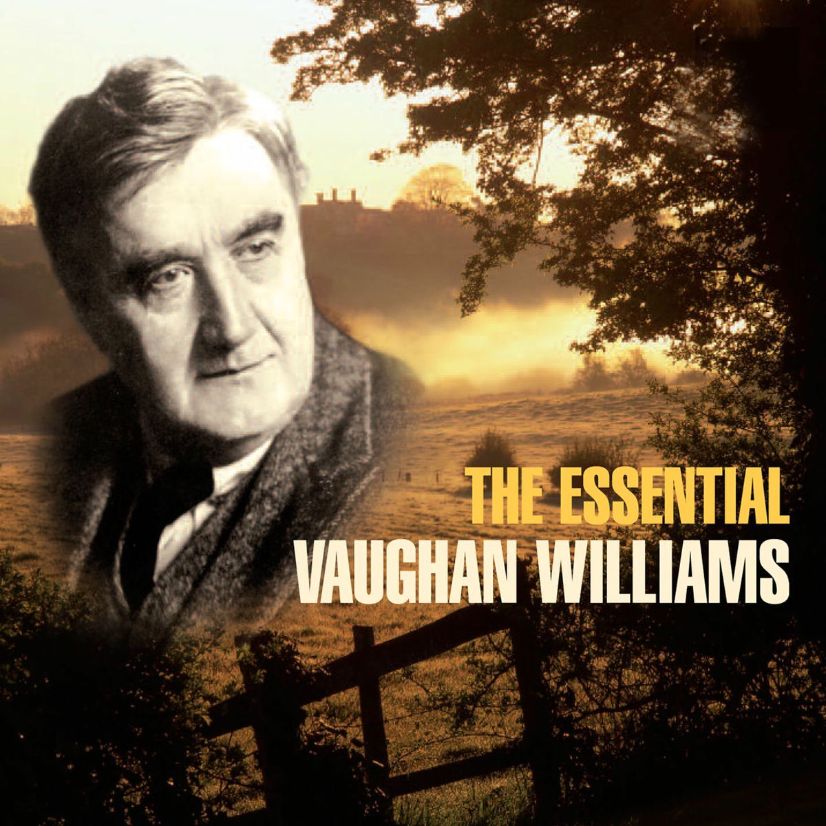 Album cover of The Essential Vaughan Williams