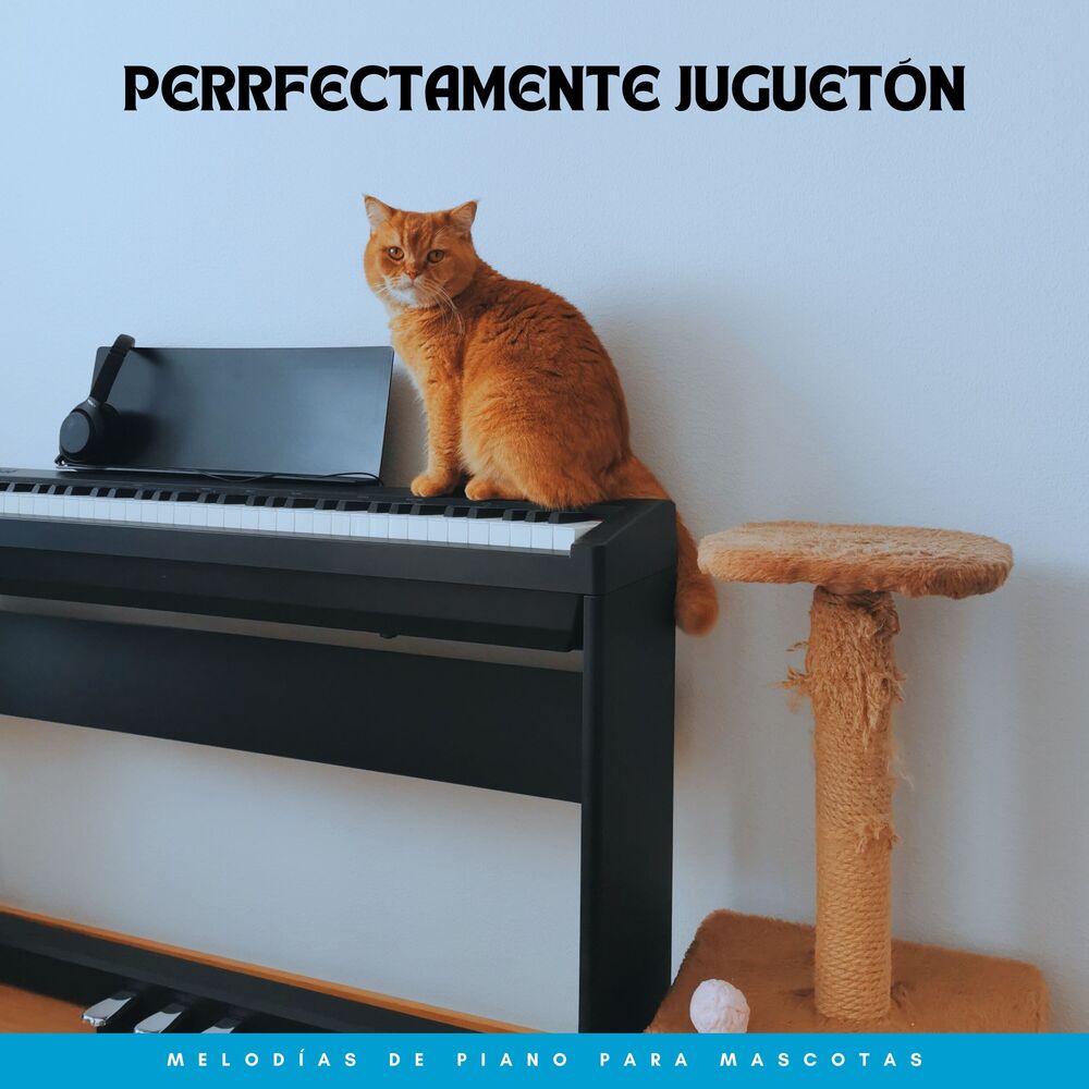 Picture of Perrfectamente Juguetón: Melodías De Piano Para Mascotas