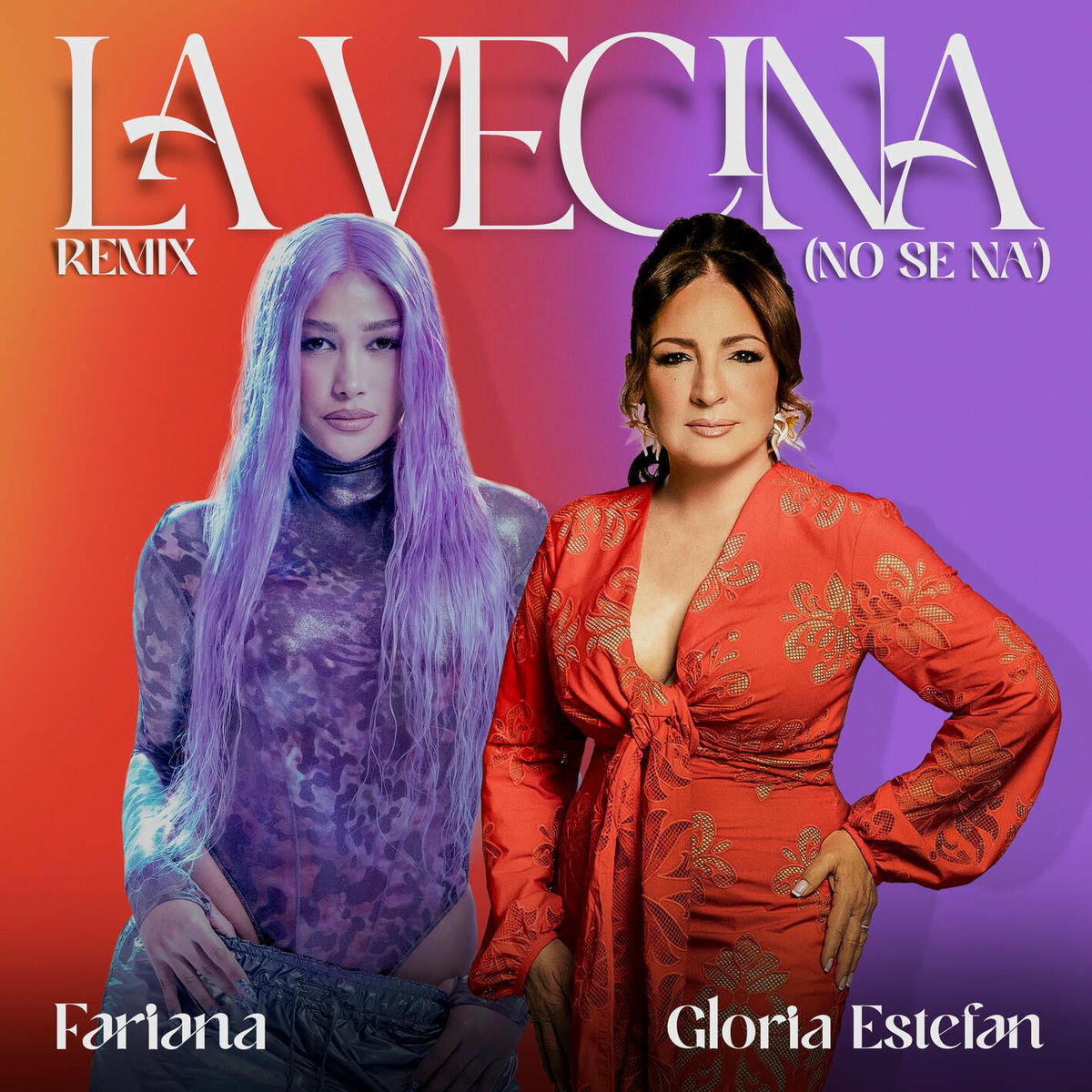 Album cover of La Vecina (No Sé Na') (feat. FARIANA) FARIANA Remix