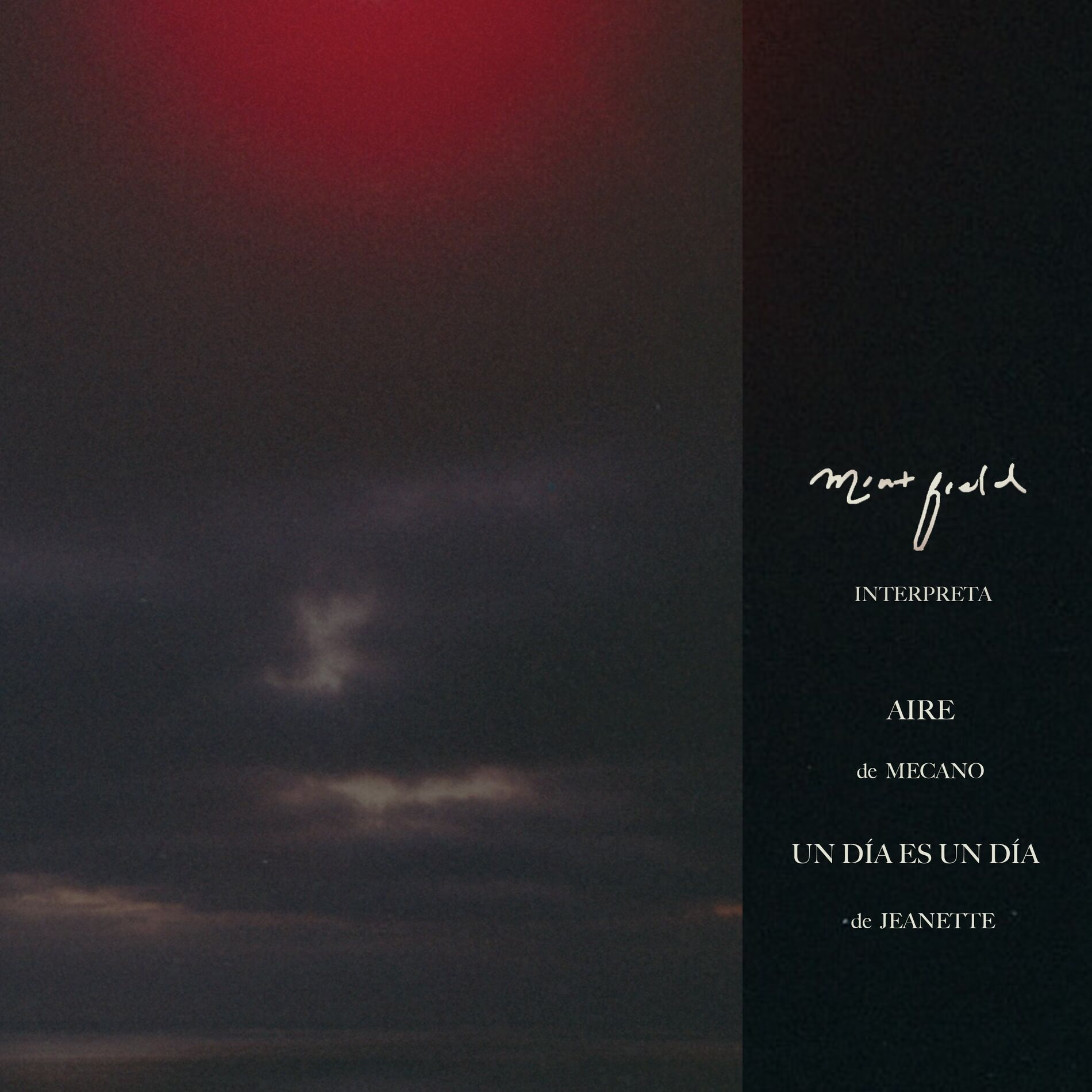 Album cover of Soñé