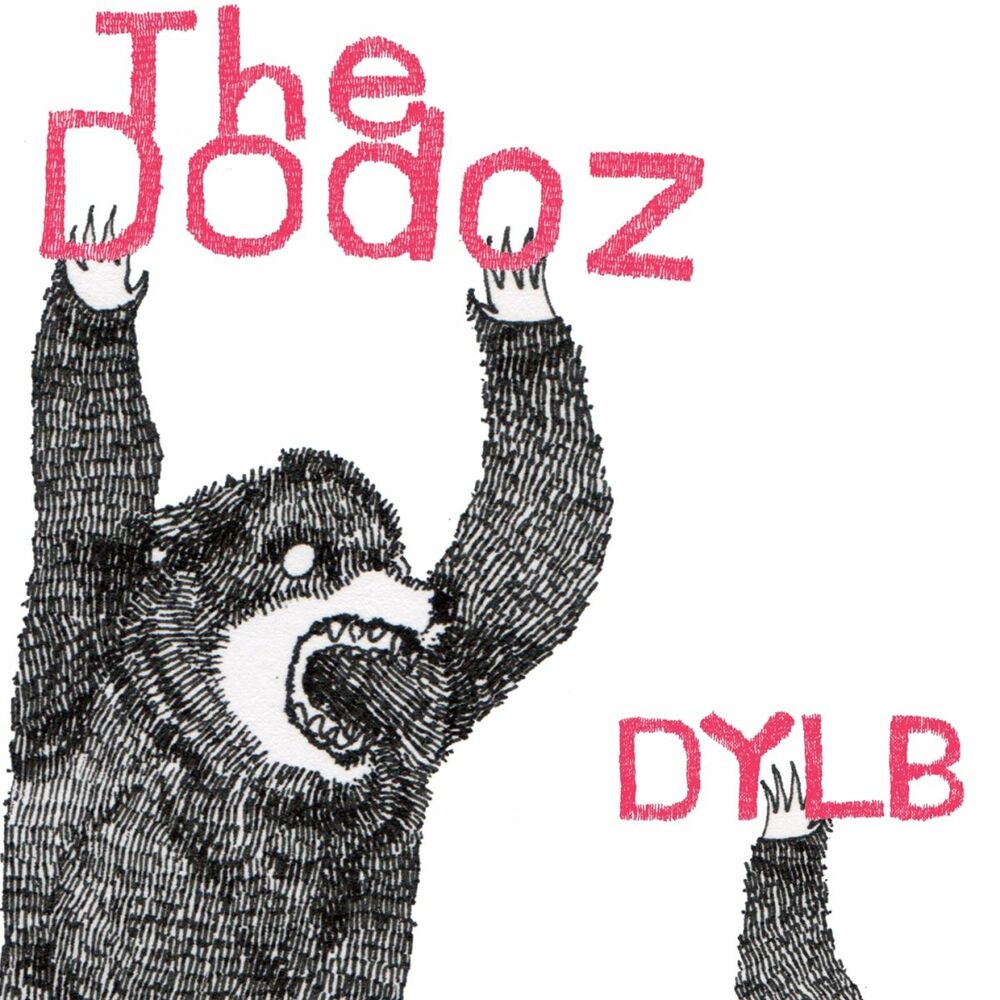 Picture of Dylb