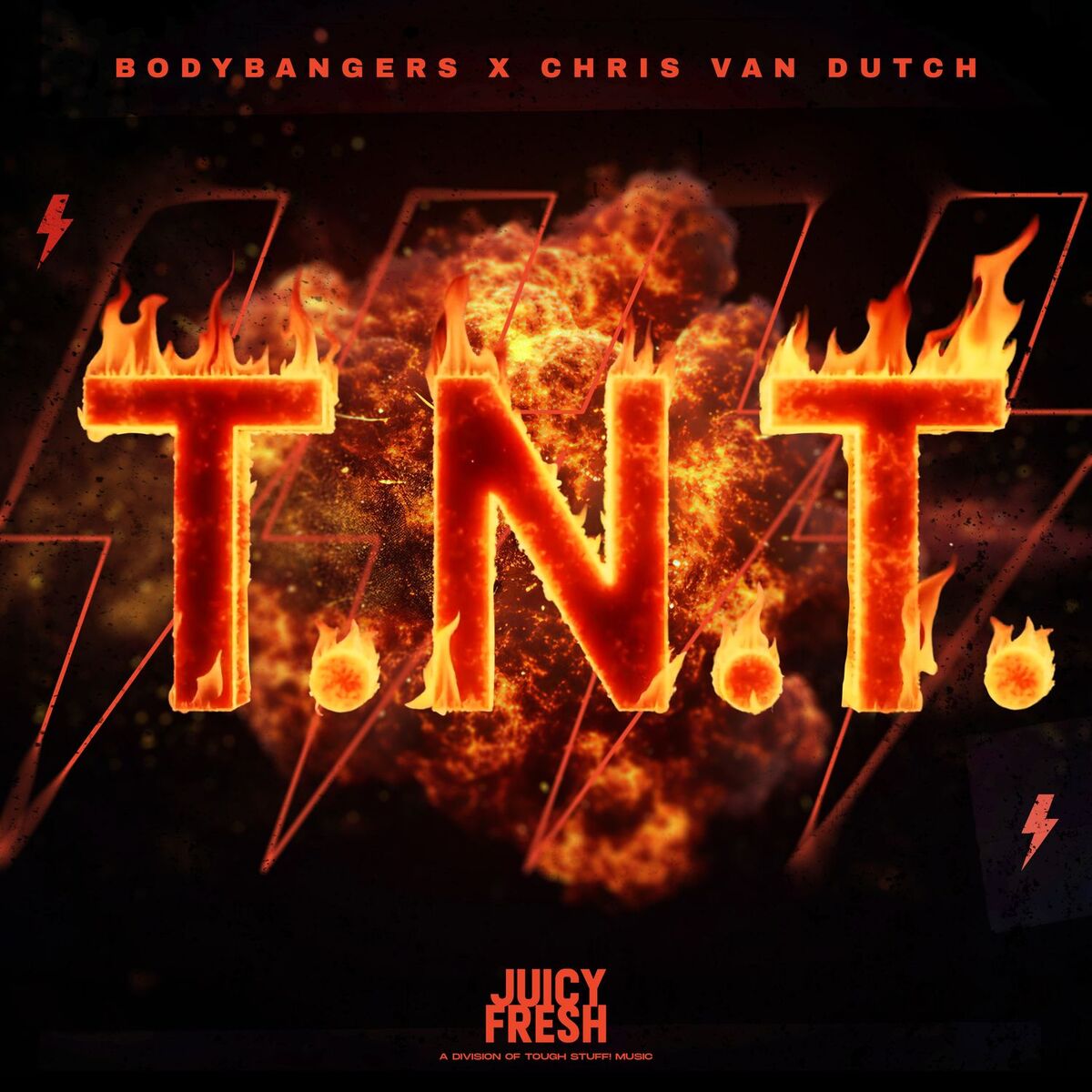 Album cover of T.N.T. (Techno Mix)