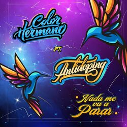 Cover of Nada Me Va a Parar