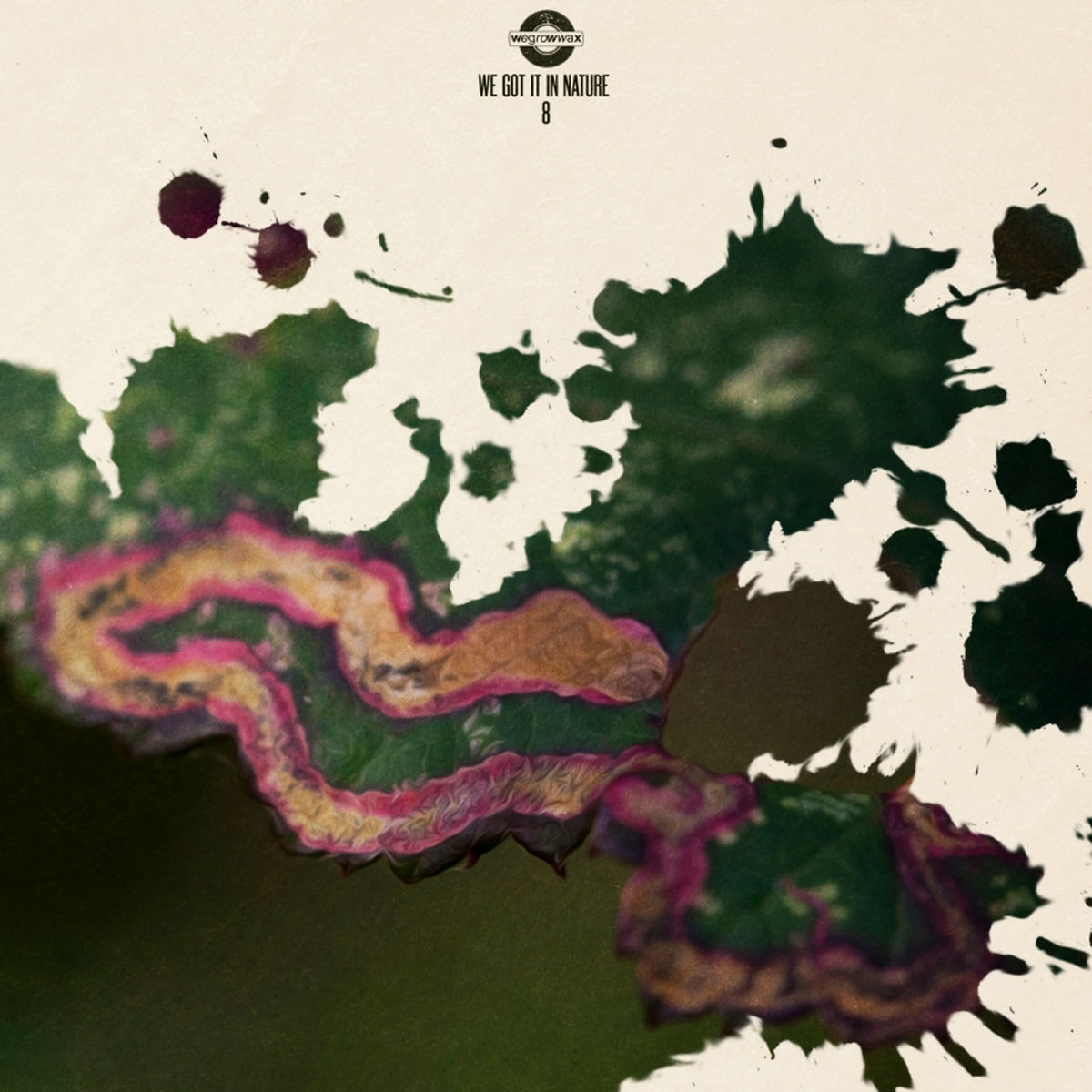 Album cover of We Got it in Nature 8