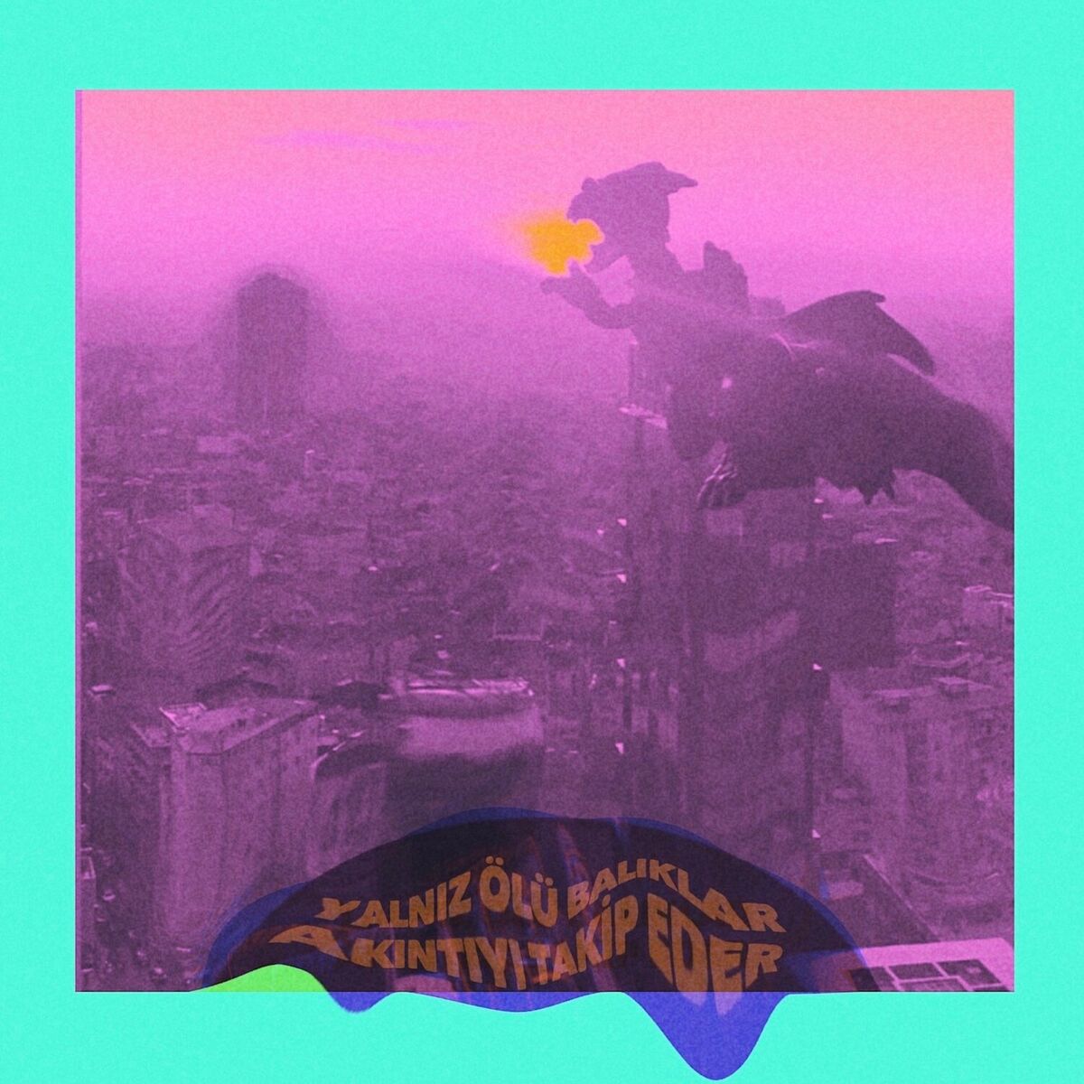 Album cover of Yalnız Ölü Balıklar Akıntıyı Takip Eder