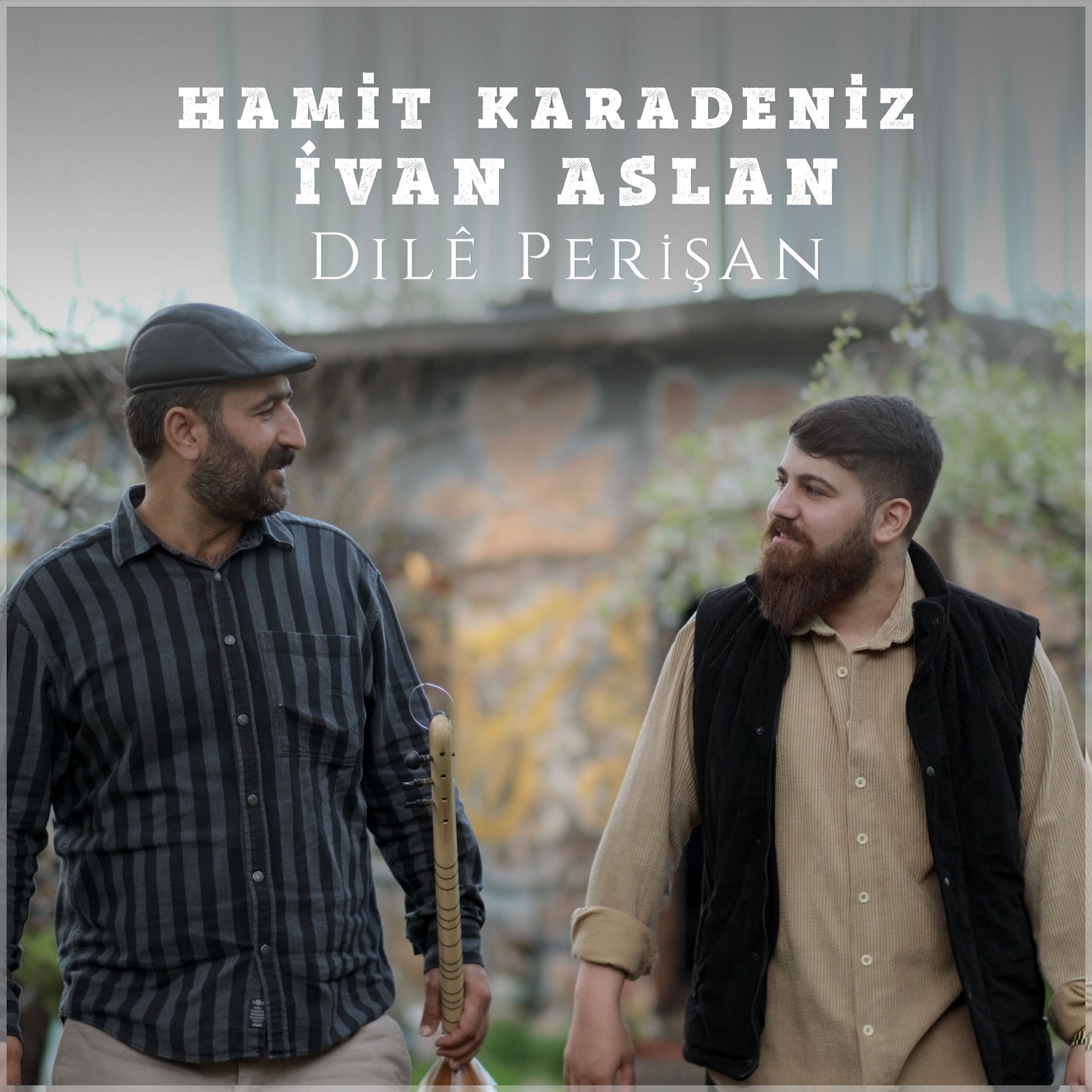 Album cover of DILÊ PERİŞAN
