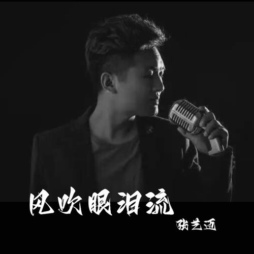 风吹眼泪流