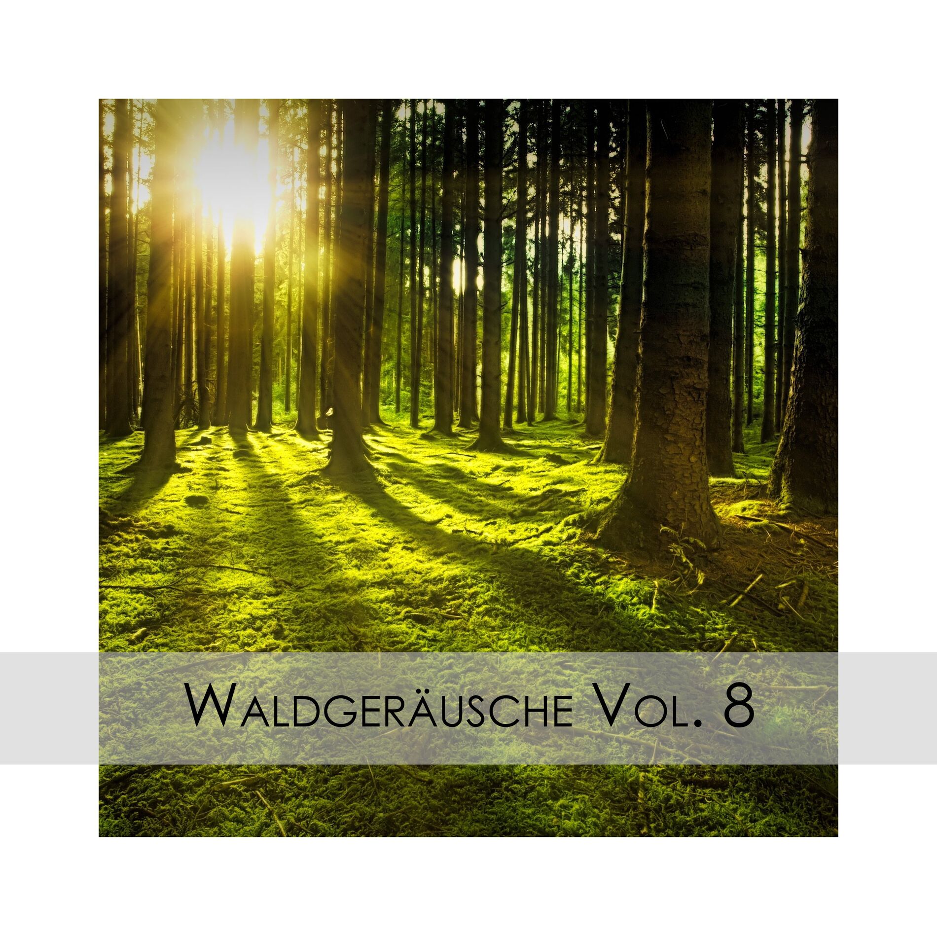Album cover of Waldgeräusche Vol. 8