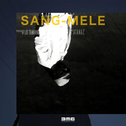 Cover of Sang mêlé