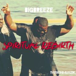Cover of Spiritual Rebirth