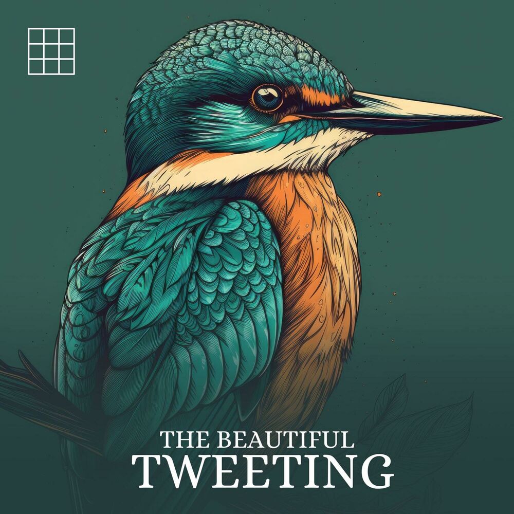 Picture of #01 The Beautiful Tweeting