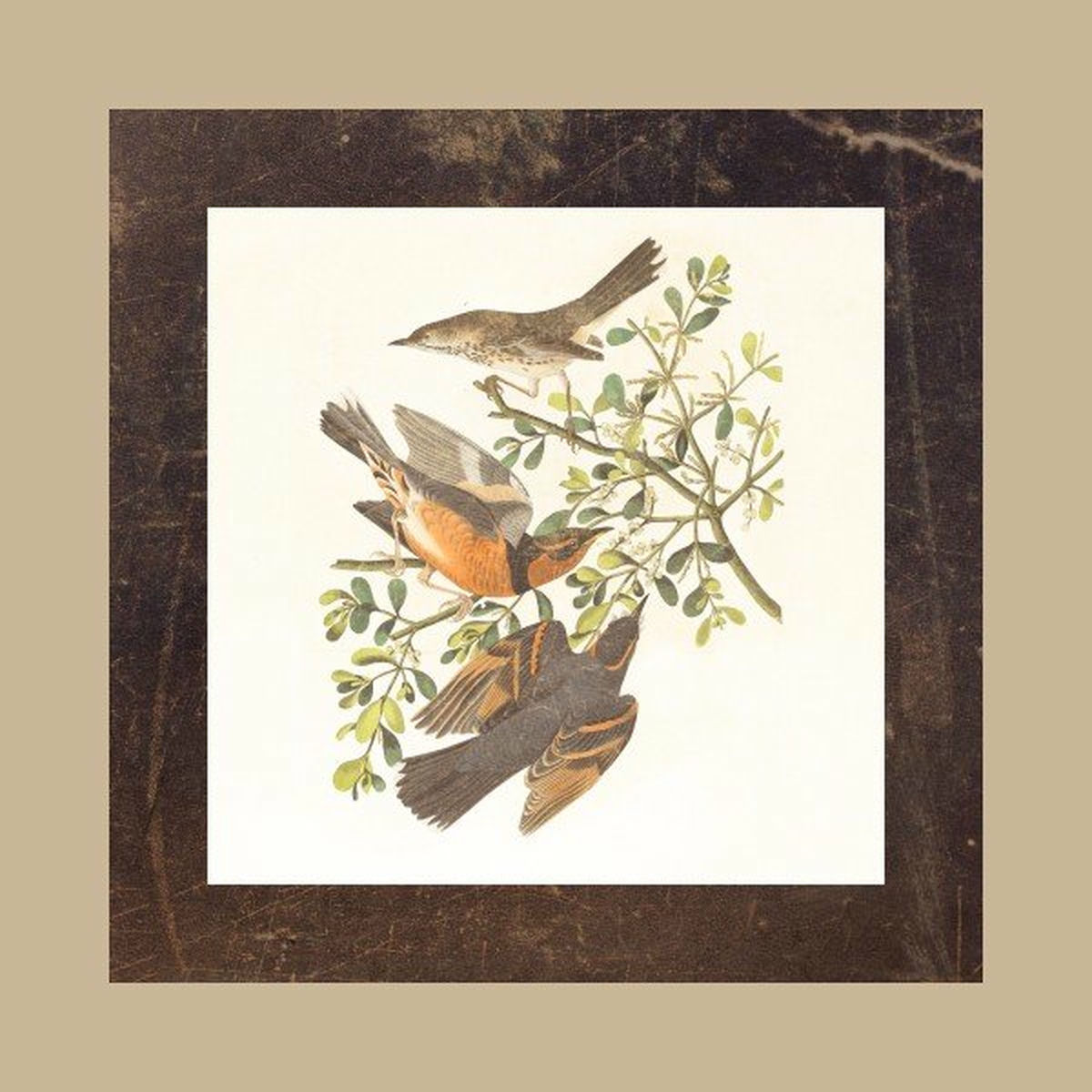 Album cover of A Song Sings Itself