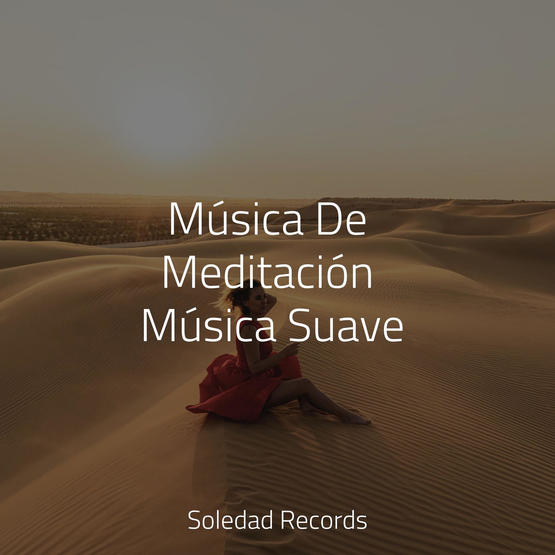 Album cover of Música De Meditación Música Suave