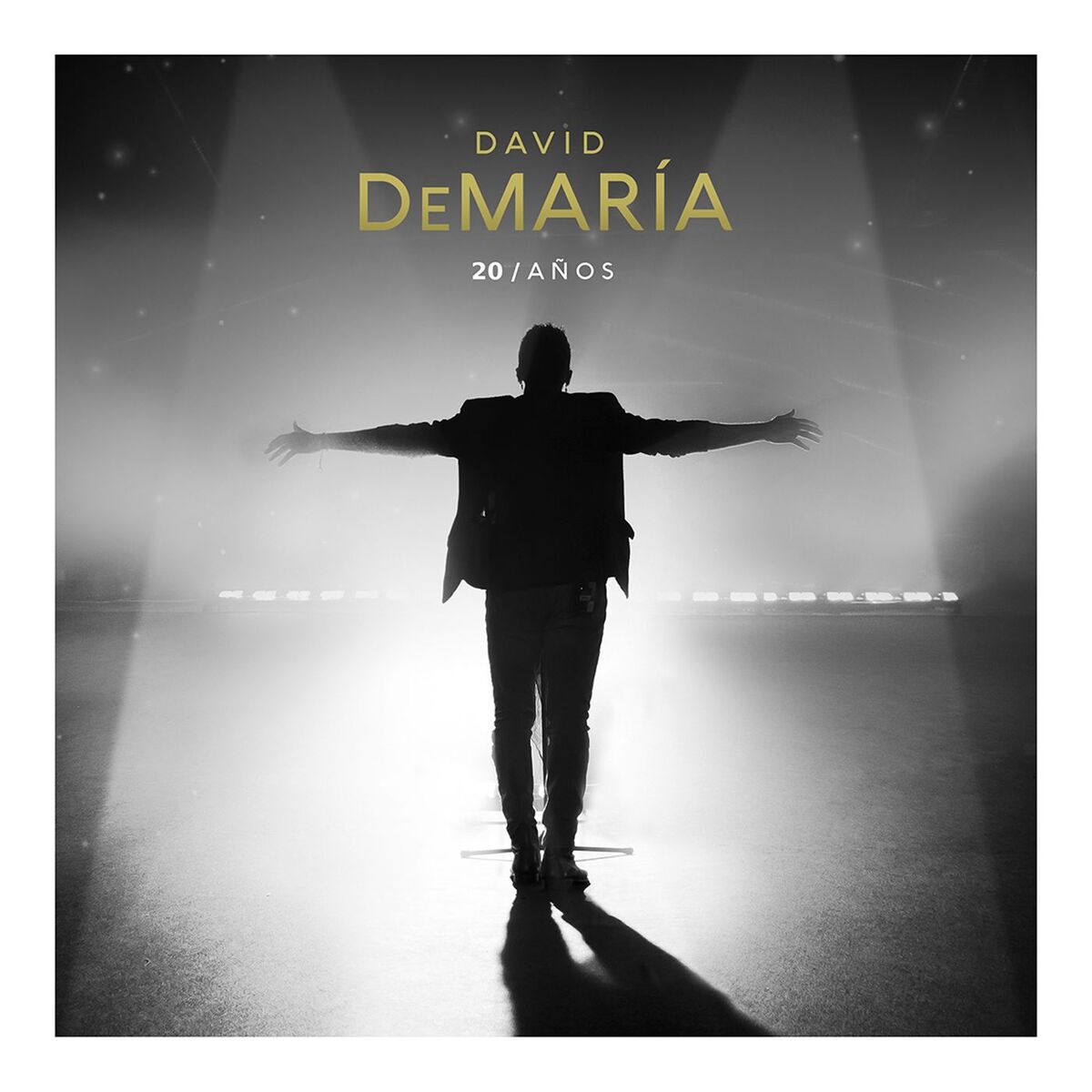 Album cover of 20 Años