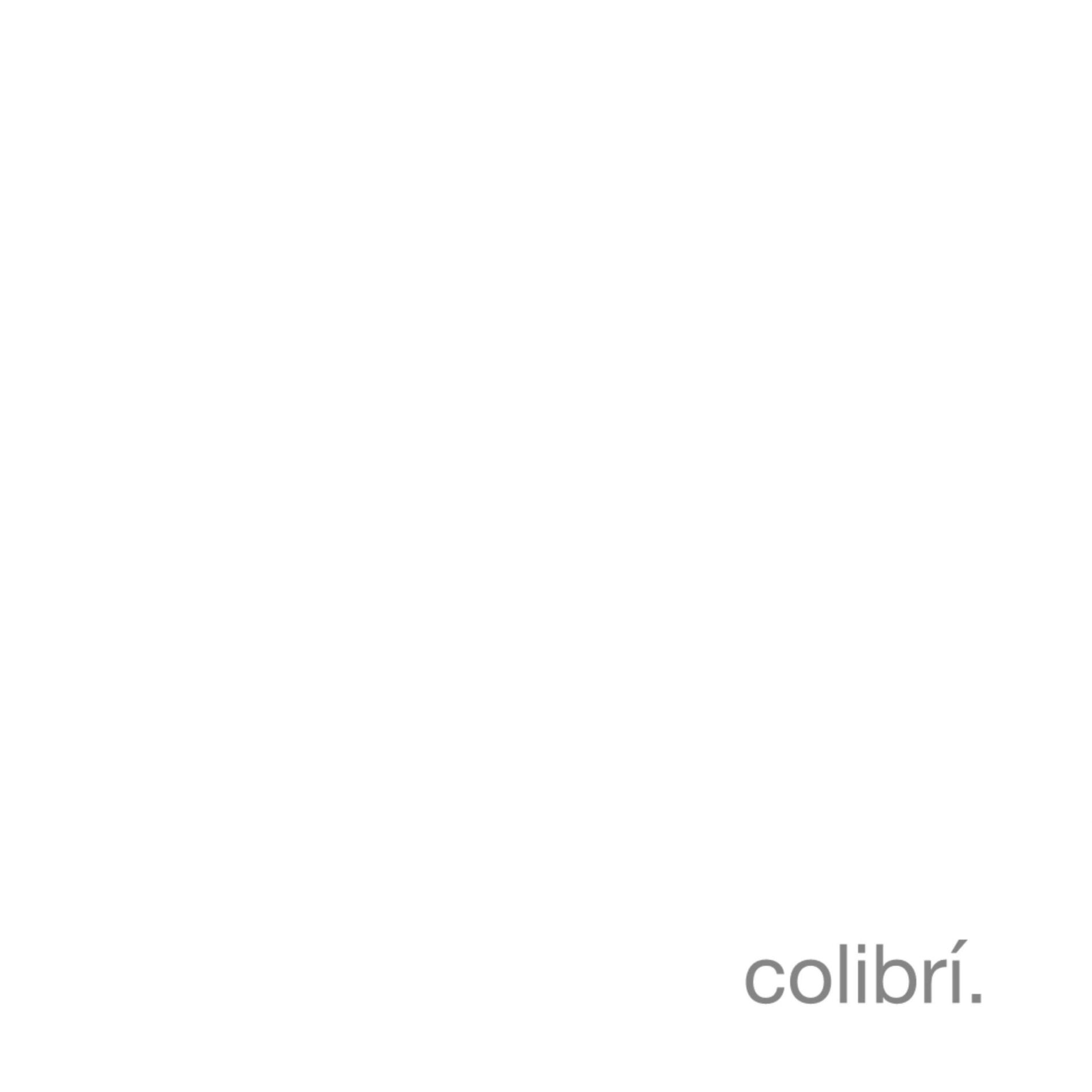 Album cover of arrepentido - versión colibrí