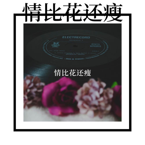 情比花还瘦