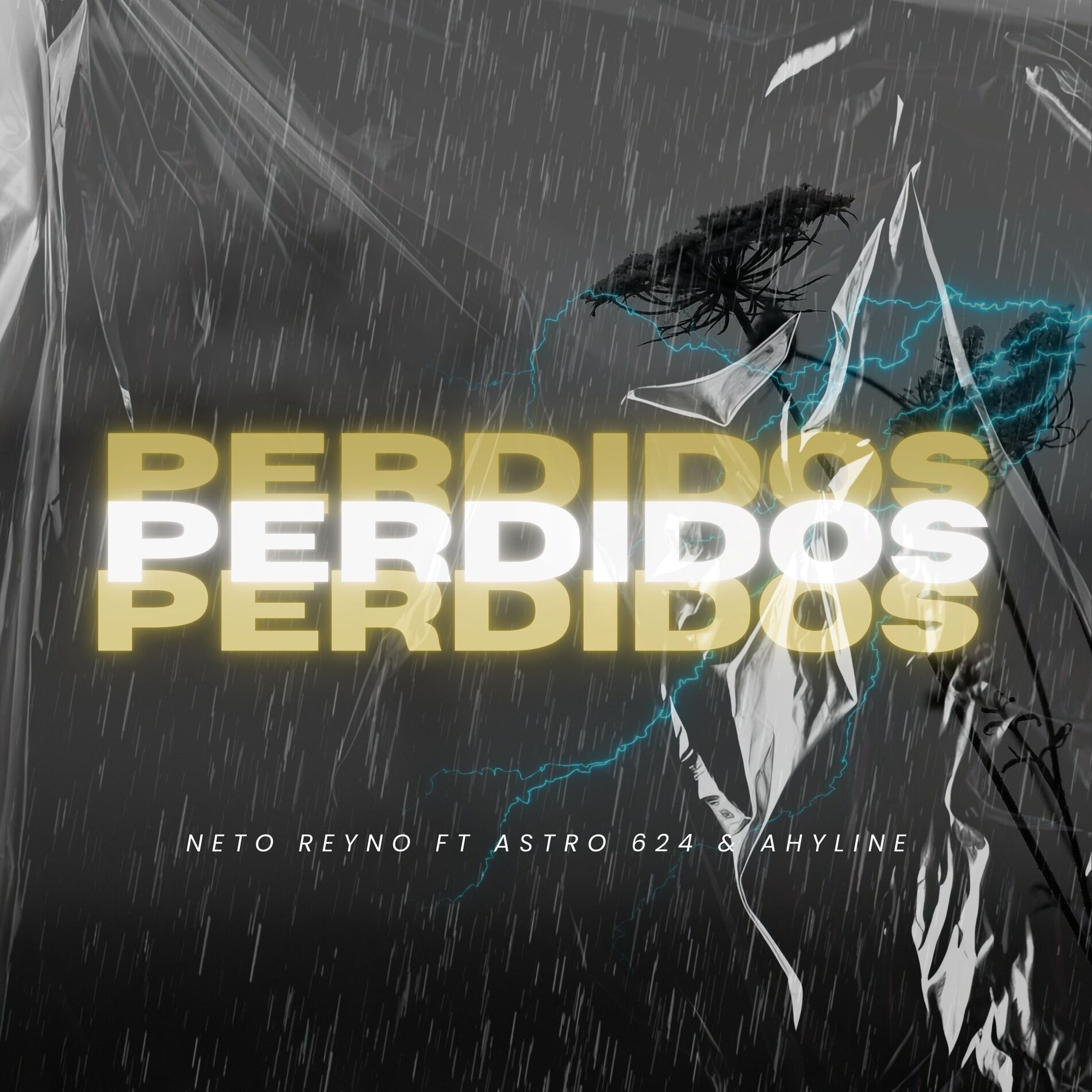 Album cover of Perdidos