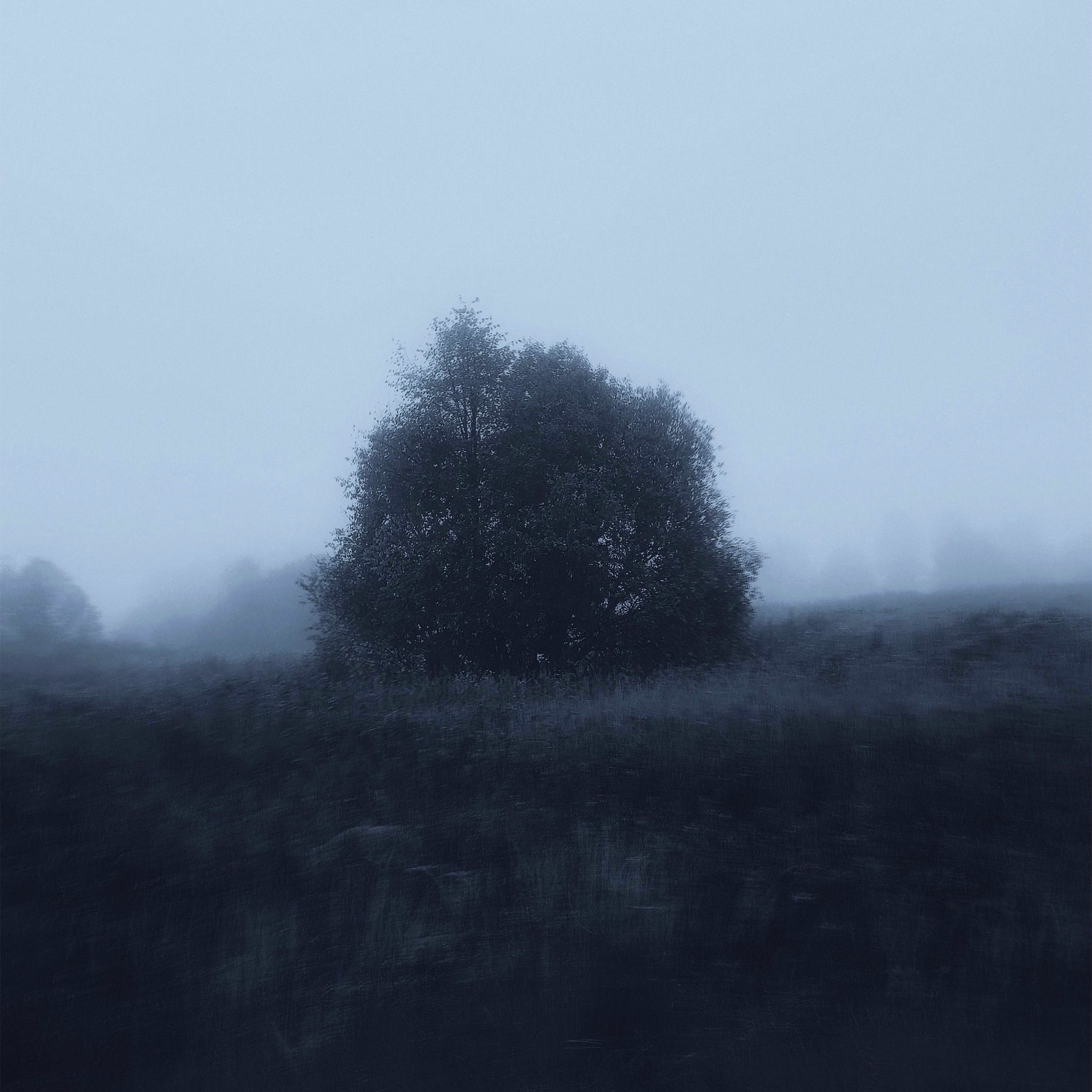 Album cover of withering